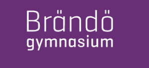Brändö gymnasium logo